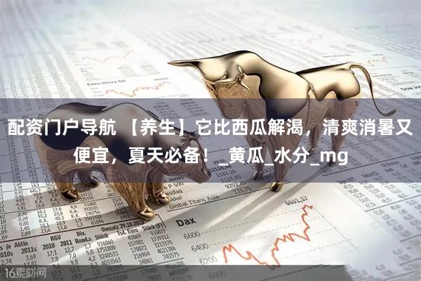 配资门户导航 【养生】它比西瓜解渴，清爽消暑又便宜，夏天必备！_黄瓜_水分_mg